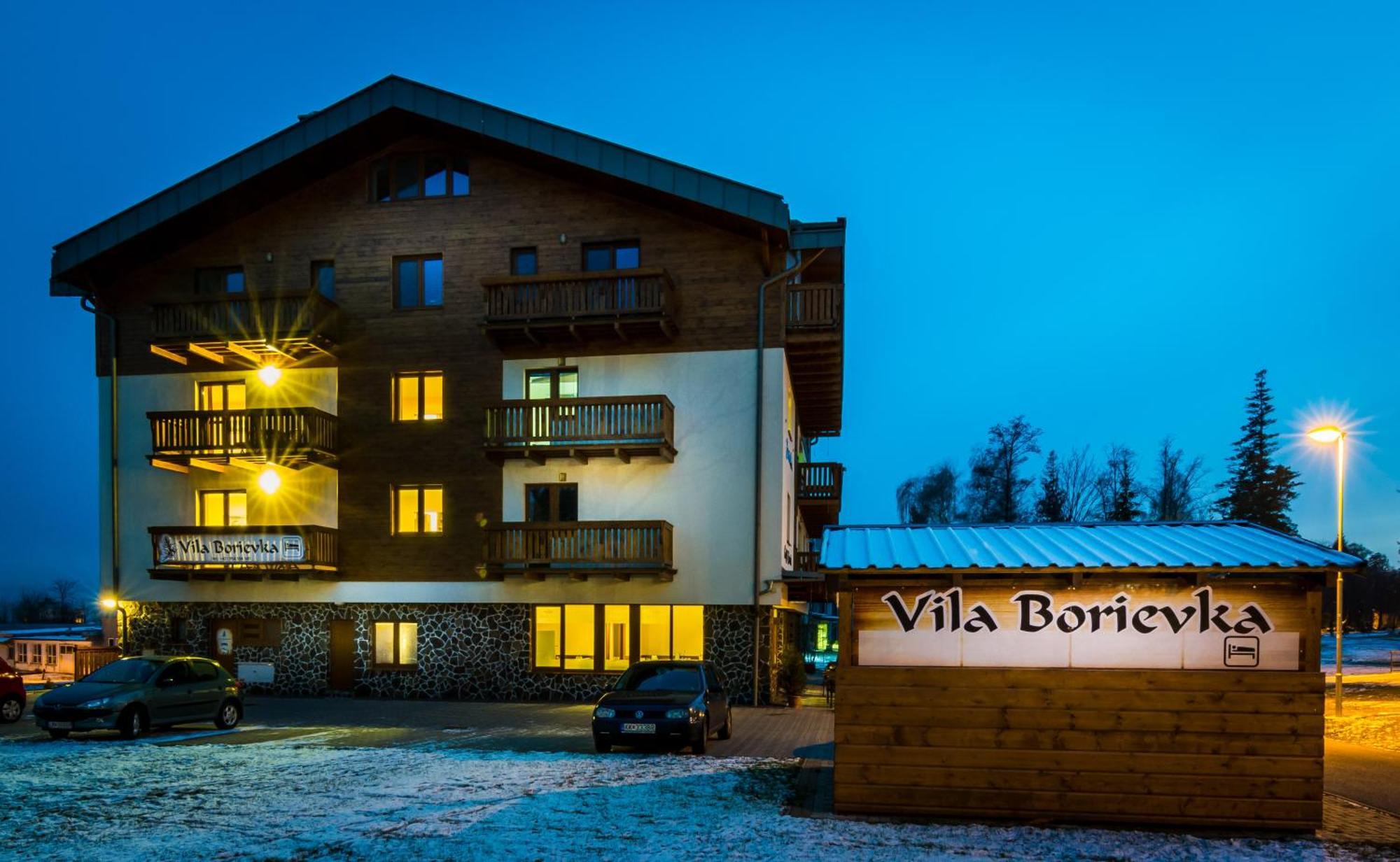 Vila Borievka タトランスカ・ ロムニツァ エクステリア 写真